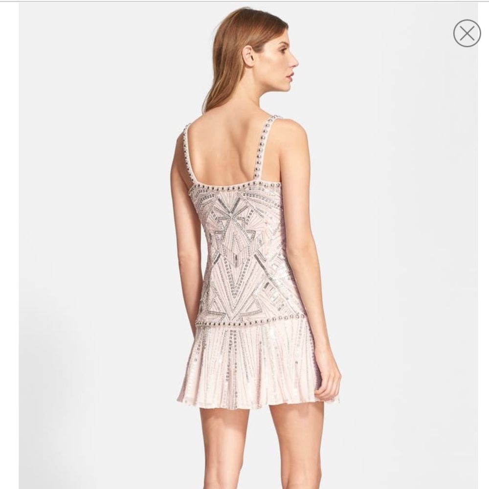 NWT Parker Devan’s Dress in blush - Picture 10 of 11